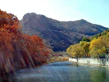 新澳天天开奖资料大全旅游团，肯德基豆浆粉